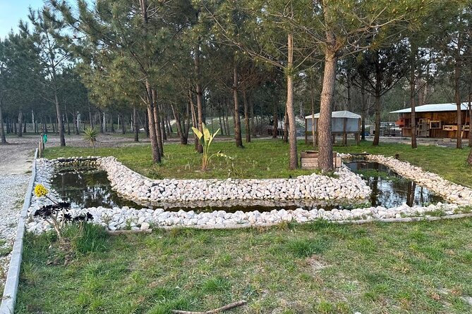 Horse Riding in Aveiro - Ílhavo - Accessibility Information