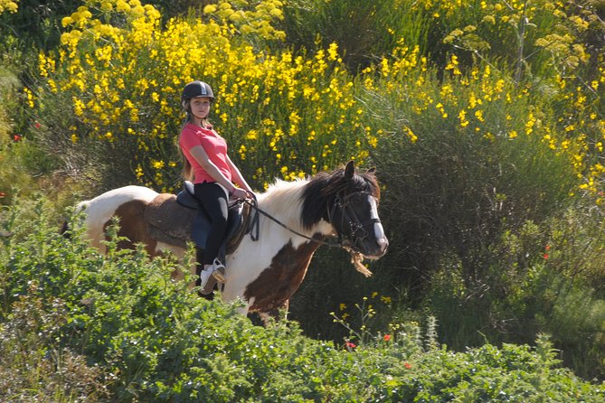 Horse Riding in Kusadasi - Instruction and Preparation