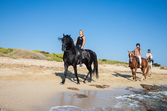 Horse Riding in Mallorca - Meeting Point Details