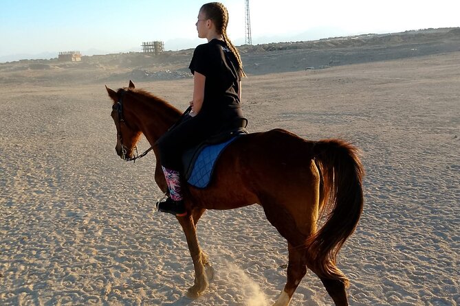 Horse Riding on the Beach and Desert 3 Hours From Hurghada - Highlights of the Experience