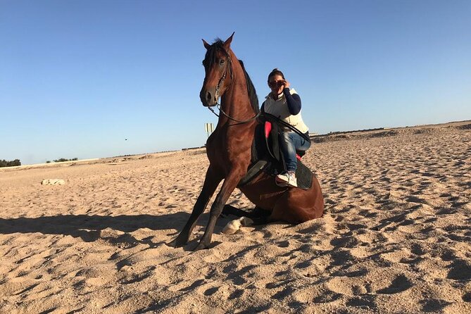 Horse Riding on the Beach With Transfer From Sharm El Sheikh - Customer Experiences