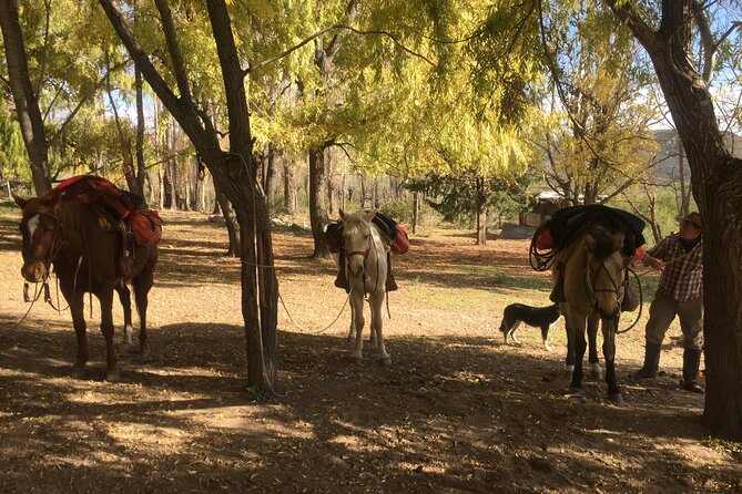 Horseback Expedition to the Andes, 2 Days. Sleep in the Heart of the Mountain. - Health and Accessibility