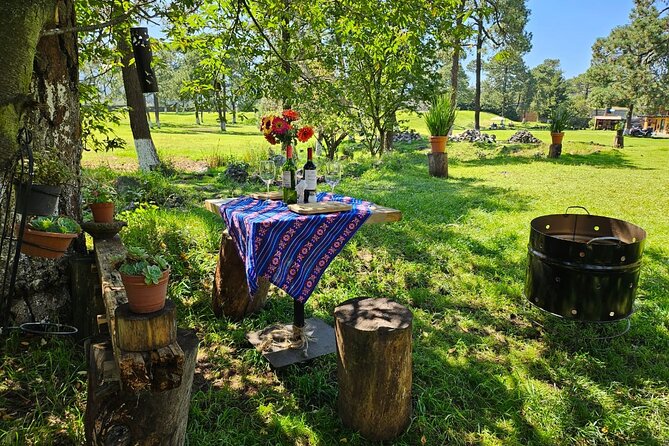 Horseback in the Mountains & Food in Our Ranch - Included Activities and Meals