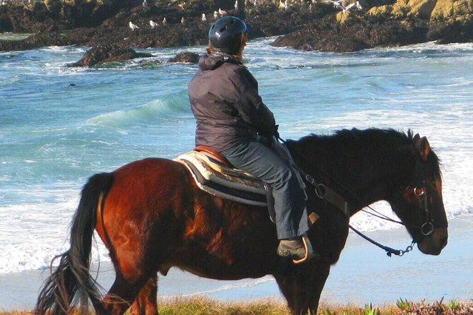 Horseback Ride & Alcatraz Prison Tickets - Inclusion Details