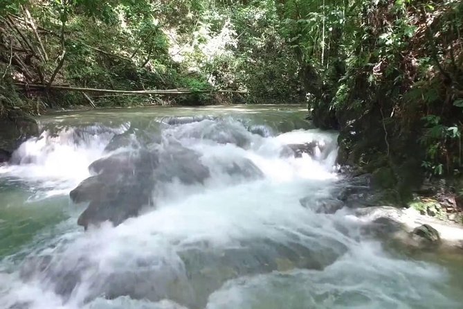 Horseback Ride and Mayfield Falls Combo From Negril - Mayfield Falls
