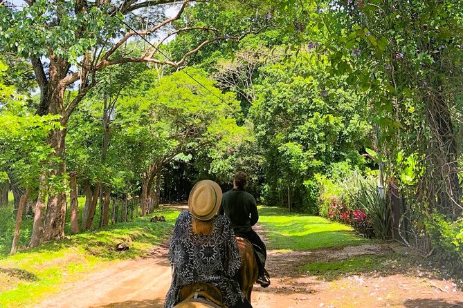 Horseback Ride, Picnic and Swimming at Barigona Beach - Questions About Your Stay