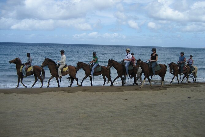 Horseback Riding and Beach BBQ in St Lucia - Beach and Swimming