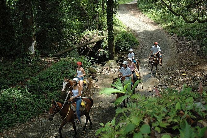 Horseback Riding and Natural Swimming Pools / Jacó Beach - Tour Inclusions and Amenities