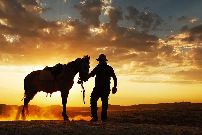 Horseback Riding in Dubai Desert With Transfers - Ensuring Safety and Enjoyment