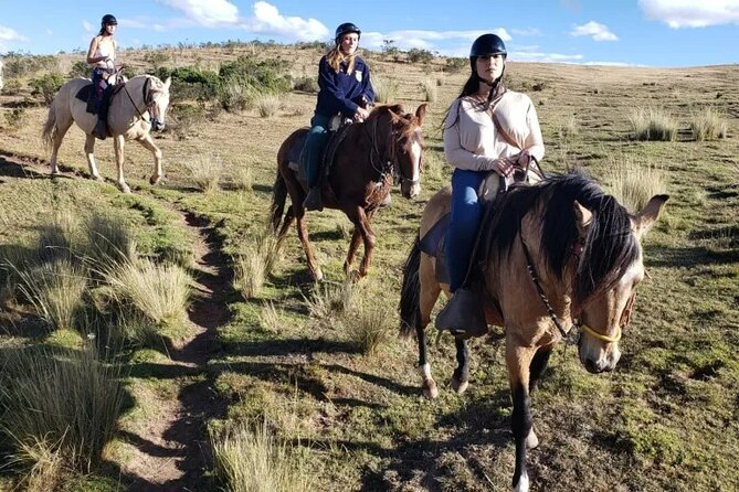 Horseback Riding in Miradores Del Valle Del Cusco, Peru - Guided Tour Through the Landscape