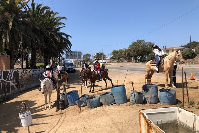 Horseback Riding Rosarito Beaches & Puerto Nuevo Lobster - Customer Reviews and Feedback