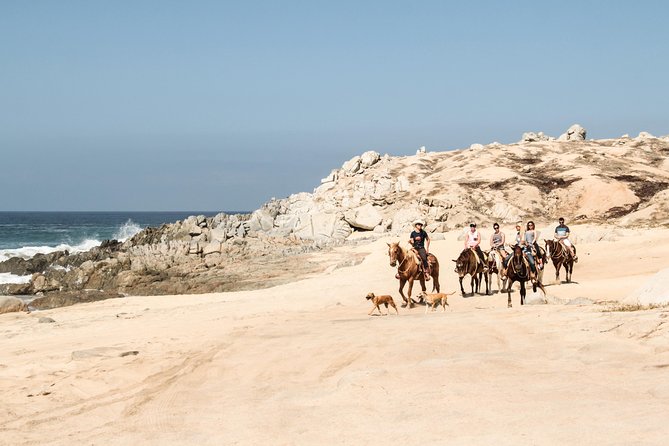 Horseback Riding Tour in Cabo San Lucas - Age and Accessibility Restrictions