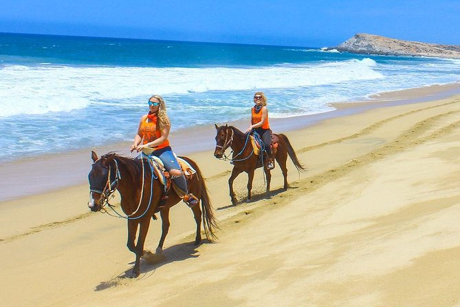 Horseback Riding Tour in Los Cabos - Traveler Experiences and Feedback