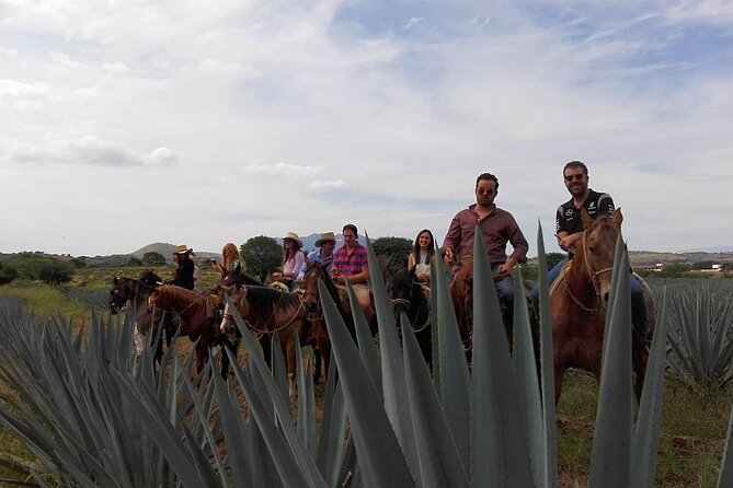 Horseback Riding Tour in the Agave Field With Lunch - Health and Accessibility