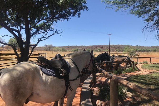 Horseriding Safari Day Tour From Johannesburg - Included Amenities