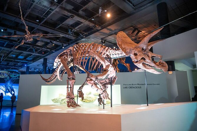 Houston Museum Pass - Customer Feedback and Experiences