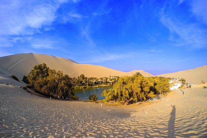 Huacachina Oasis & Ballestas Islands From Lima - Private Trip - Tour Features