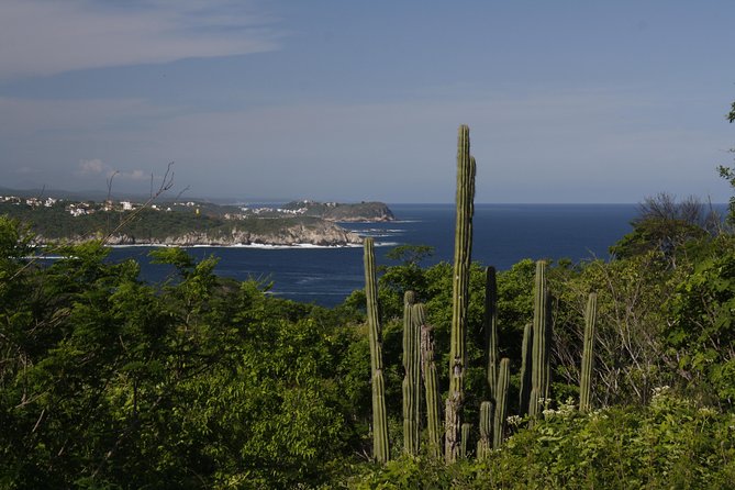 Huatulco City Tour - Tour Experience and Activities