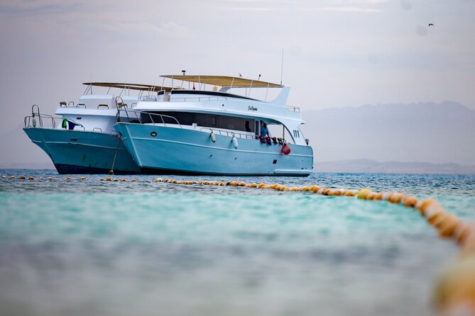 Hula Hula Island Snorkeling Sea Trip With Lunch - Hurghada - Guest Reviews