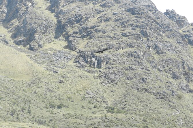 Humantay Lake Tour From Cusco - What to Expect on the Tour