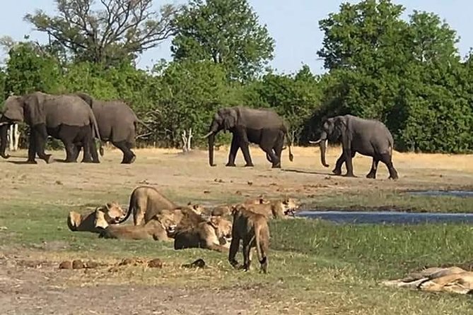 Hwange Day Trip - Expectations for Participants