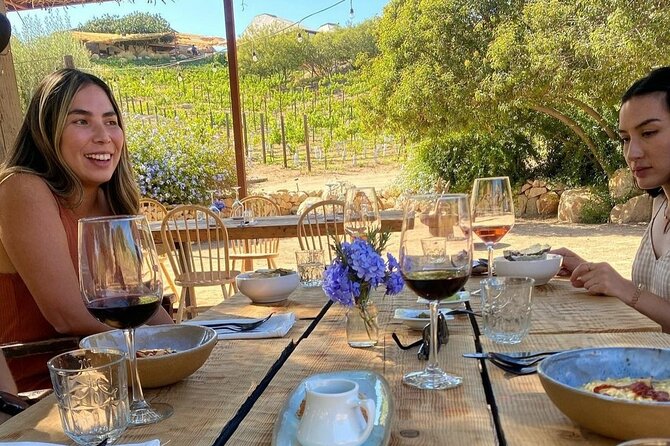 I Want More Wine, Valle De Guadalupe Tours - Pricing and Availability