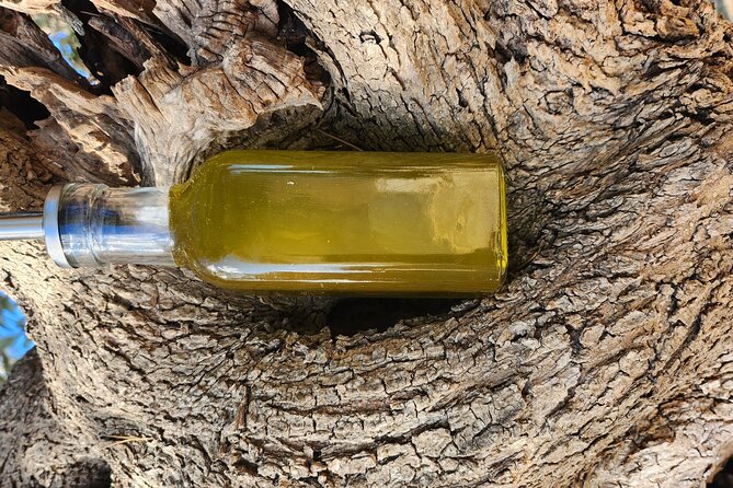 I Wil Explain You Everything About Our Extravirgin Olive Oil - Accessibility and Participation