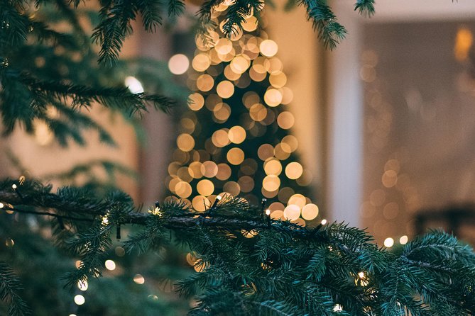 Icelands Christmas Myths and Traditions - Reykjavík Walking Tour - Cancellation Policy