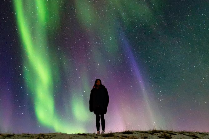 Icelands South Coast & Northern Lights Day Trip From Reykjavik - Expectations and Considerations