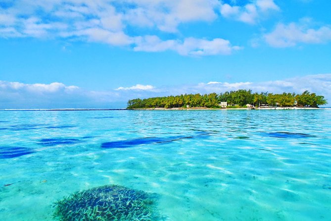 Ile Aux Aigrettes Nature Reserve, Blue Bay Beach, La Vanille Park & Gris Gris - Guest Testimonials