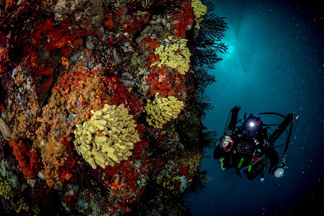 Immersion in Banco Santa Croce From Sorrento With Expert Guide - Cancellation Policy