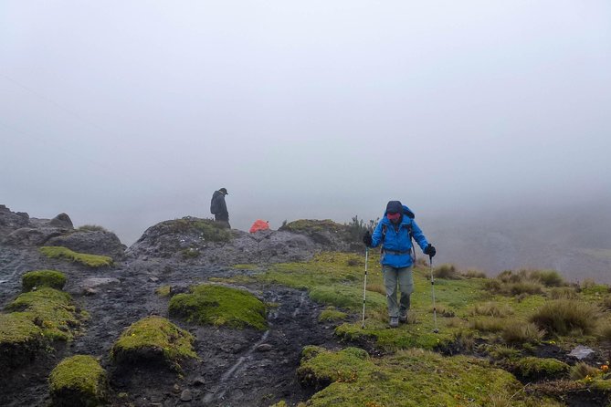 Inca Trail Cajas National Park Tour From Cuenca - Pickup and Timing