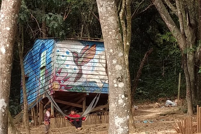 Indigenous Guarani Jaragua Experience - Daily Life Observation