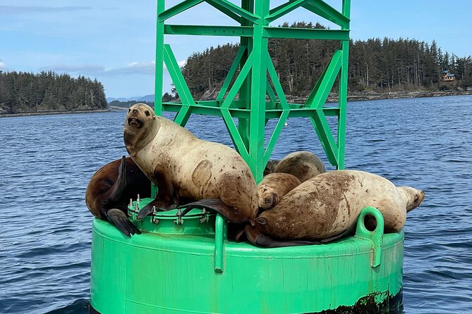 Inside Waters Wildlife and Scenery Tour - Scenic Features