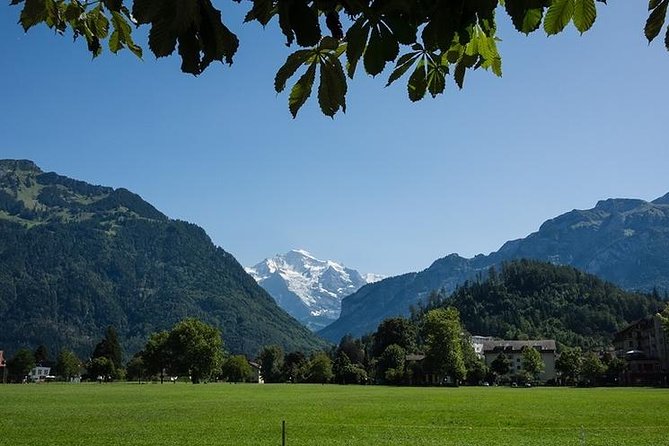Interlaken City Private Tour and Harder Mountain Excursion - Customer Reviews and Feedback