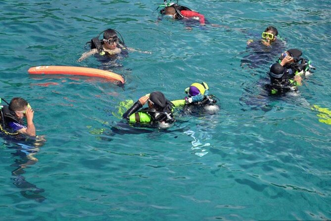 Intro Diving for Beginners in Hurghada With Pick-Up and Lunch - Booking and Cancellation Details