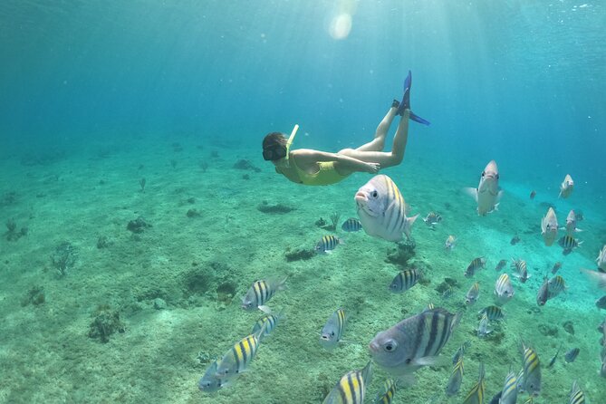 Invisible Boat Snorkeling Adventure in Cozumel - Customer Feedback
