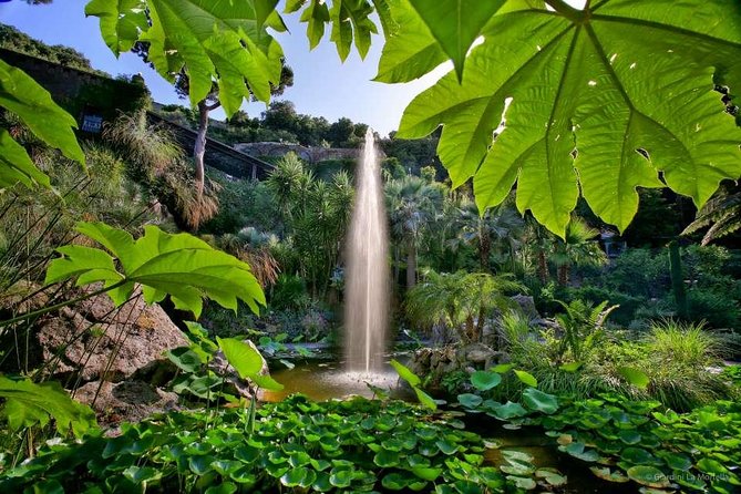 Ischia and La Mortella Gardens - Guided Tour of Local Highlights