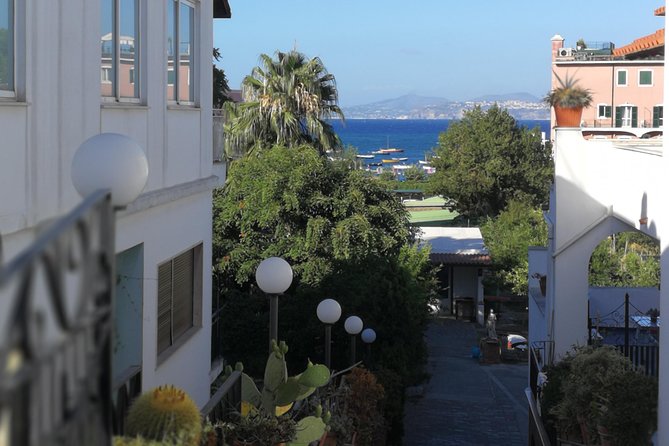Ischia Private Day Trip From Sorrento With Local Guide and Driver - Inclusions