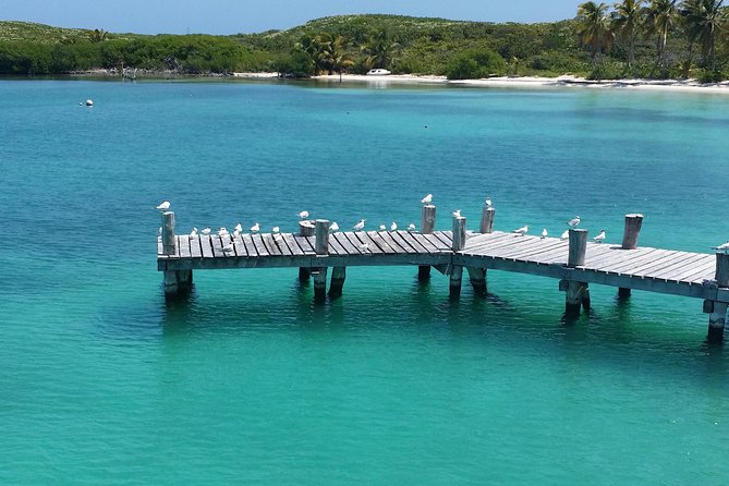 Isla Contoy and Isla Mujeres Tour With Snorkeling From Cancun - Guest Experiences