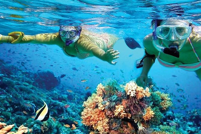 Isla Mujeres Catamaran, Open Bar & Optional Buffet and Pick up - Safety and Participation Guidelines