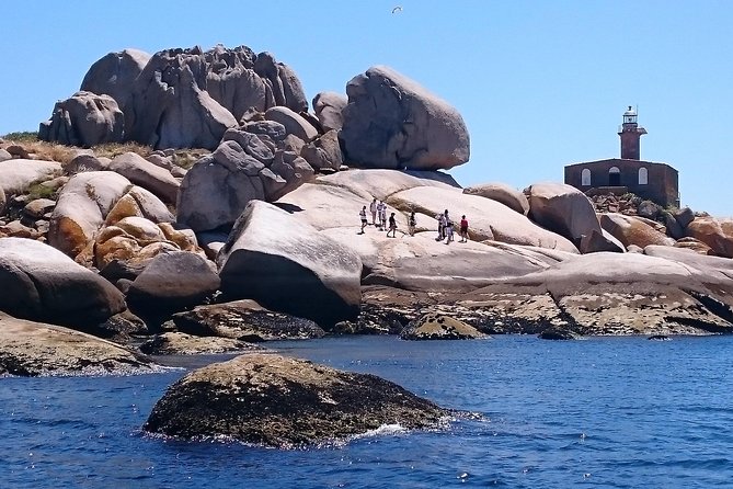 Island of Arousa: Natural Paradise - Ecological Diversity and Conservation Efforts