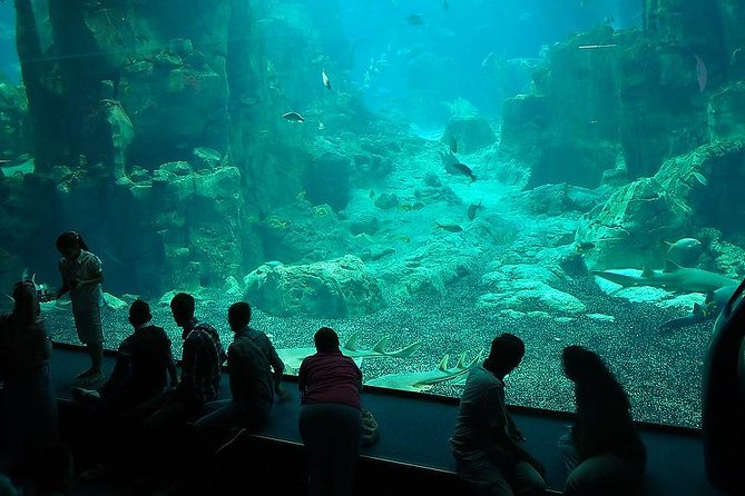 Istanbul Aquarium and Aqua Florya Independent Shopping Trip - Audio-Visual Displays