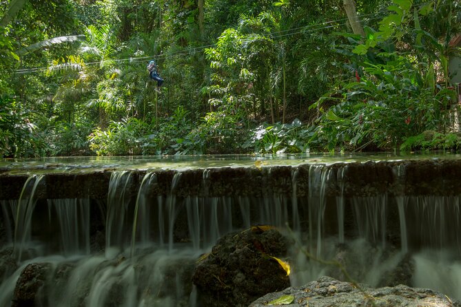 Jamaican Combo Adventure in Mystic Mountain - Booking and Policies