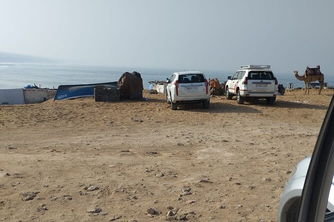 Jeep Tour to Mini Sahara With Lunch Small Group - What to Expect on the Tour