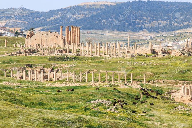 Jerash & Ajloun Private Tour - Flexible Transportation and Pickup Options