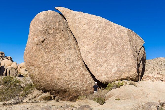 Joshua Tree National Park Driving Tour Review - Customer Reviews