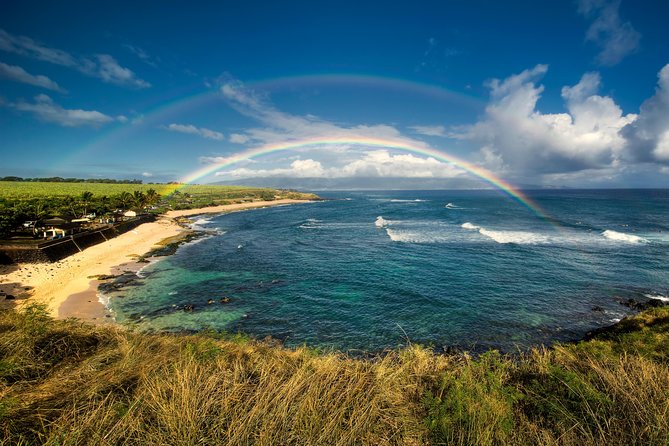 Kahului Shore Excursion: Private Tropics of Maui & Rainforest - Historical Site Exploration