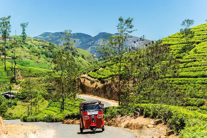 Kandy City Tour - Tuk Tuk - Booking Process
