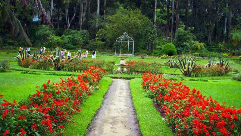 Kandy To Nuwara Eliya Day Tour By Tuk Tuk Sri Lanka - Nuwara Eliya Overview